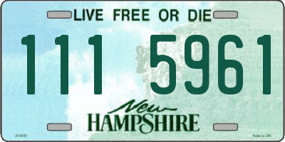 NH license plate 1115961