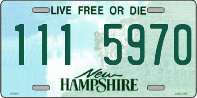 NH license plate 1115970