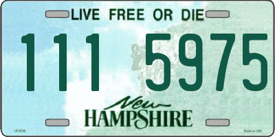 NH license plate 1115975