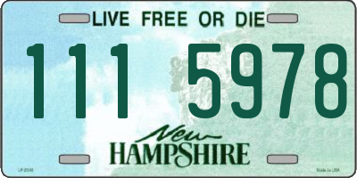 NH license plate 1115978