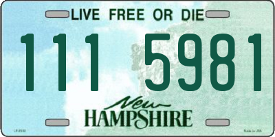 NH license plate 1115981