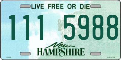 NH license plate 1115988