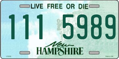 NH license plate 1115989