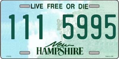 NH license plate 1115995