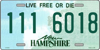 NH license plate 1116018