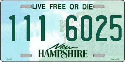NH license plate 1116025