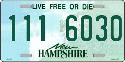 NH license plate 1116030