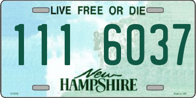 NH license plate 1116037