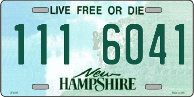 NH license plate 1116041
