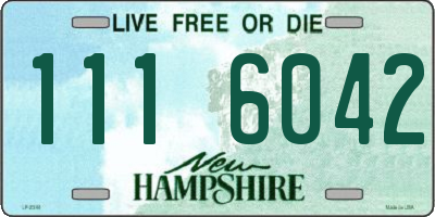 NH license plate 1116042