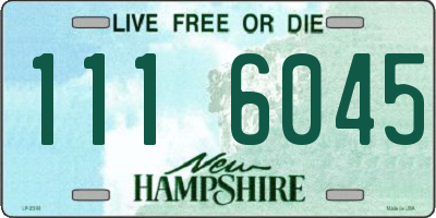 NH license plate 1116045