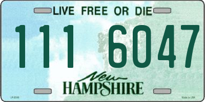 NH license plate 1116047