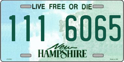NH license plate 1116065