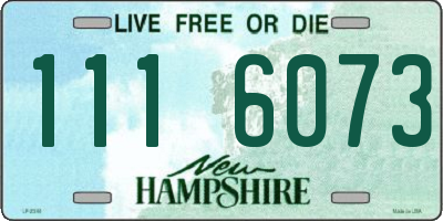 NH license plate 1116073