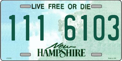 NH license plate 1116103