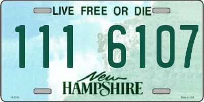 NH license plate 1116107