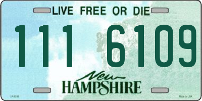 NH license plate 1116109