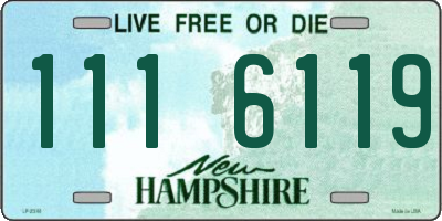 NH license plate 1116119