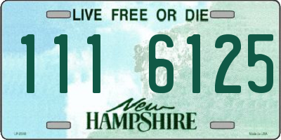 NH license plate 1116125
