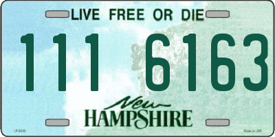 NH license plate 1116163