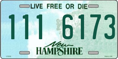 NH license plate 1116173