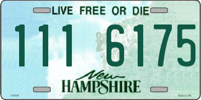 NH license plate 1116175