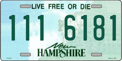 NH license plate 1116181
