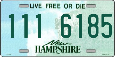 NH license plate 1116185