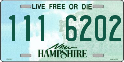 NH license plate 1116202