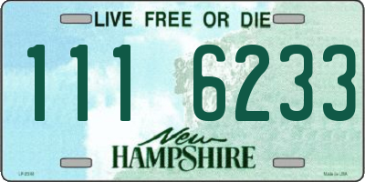 NH license plate 1116233