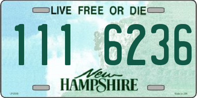 NH license plate 1116236