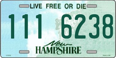 NH license plate 1116238