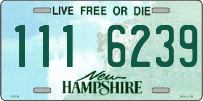 NH license plate 1116239