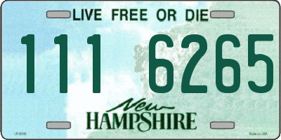NH license plate 1116265