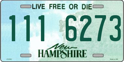 NH license plate 1116273