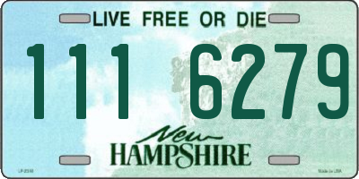 NH license plate 1116279