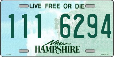 NH license plate 1116294