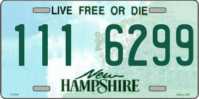 NH license plate 1116299