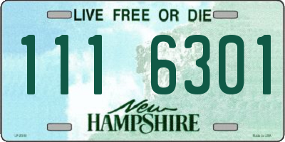 NH license plate 1116301