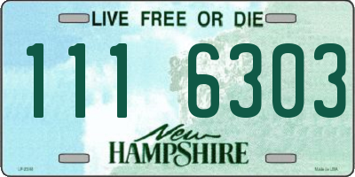 NH license plate 1116303