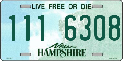 NH license plate 1116308