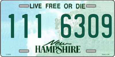 NH license plate 1116309