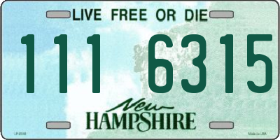 NH license plate 1116315