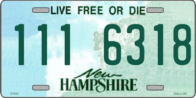 NH license plate 1116318