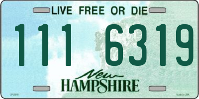 NH license plate 1116319