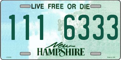 NH license plate 1116333
