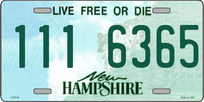 NH license plate 1116365