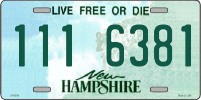 NH license plate 1116381