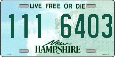 NH license plate 1116403