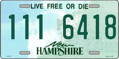 NH license plate 1116418